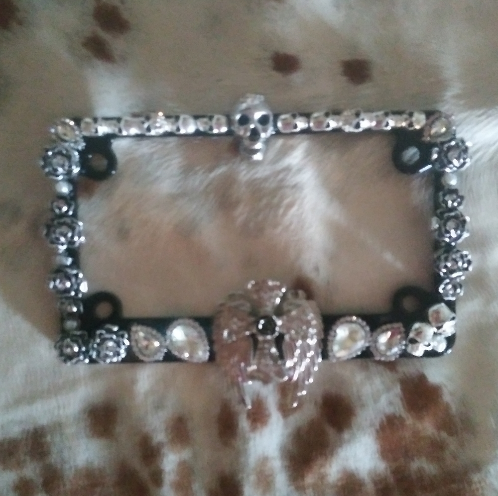 Motorcycle License plate frame